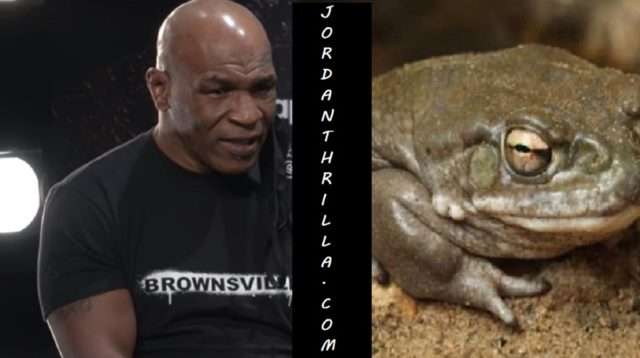 mike tyson toad shirt