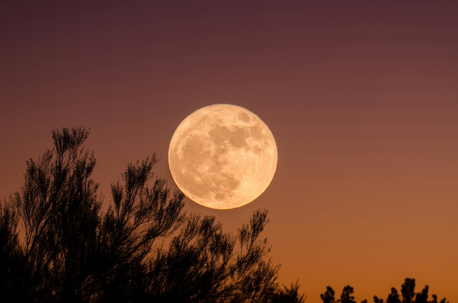 The 'Worm Moon' Conspiracy Will the March 2024 Full Moon Change the