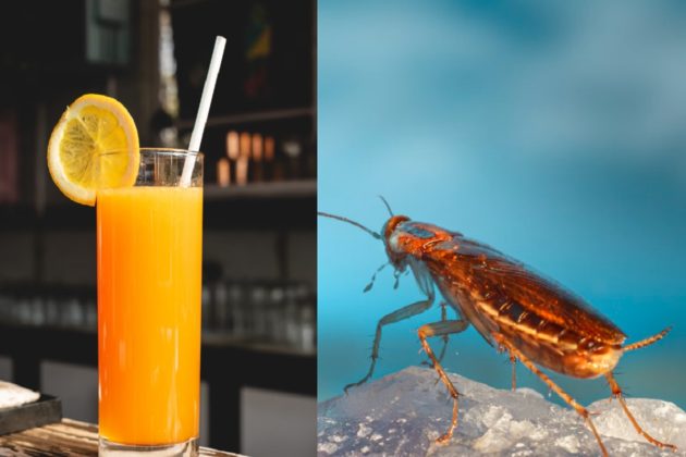 does-tropicana-orange-juice-have-roach-blood-ingredient-in-it